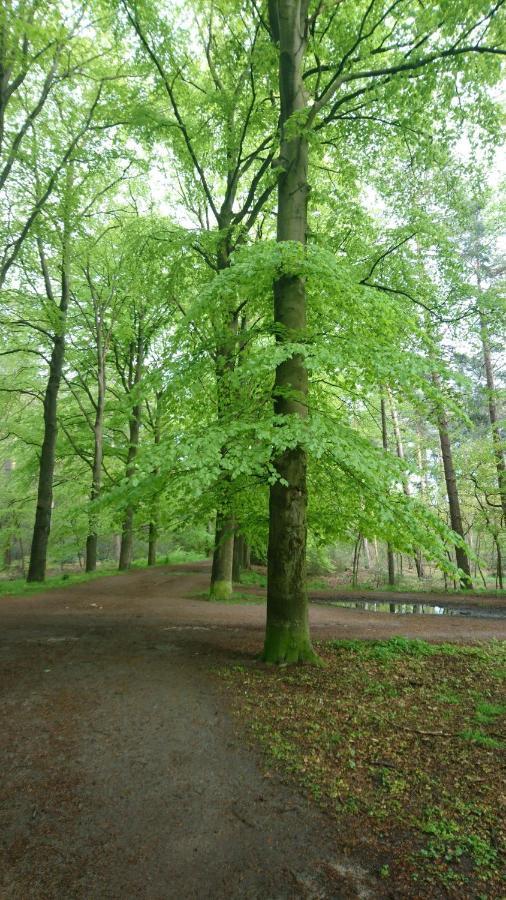Overbosch ビルトホーフェン エクステリア 写真